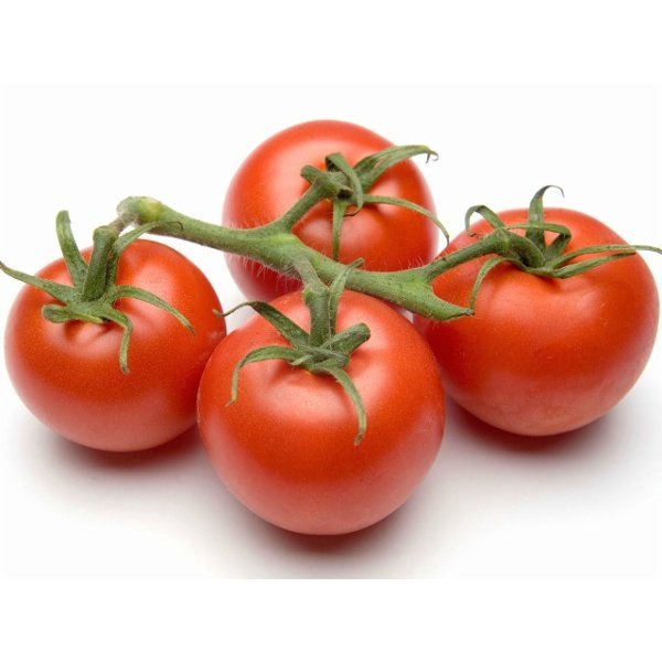 Sepal Tomate Concentre 20/30 poche de 20kg