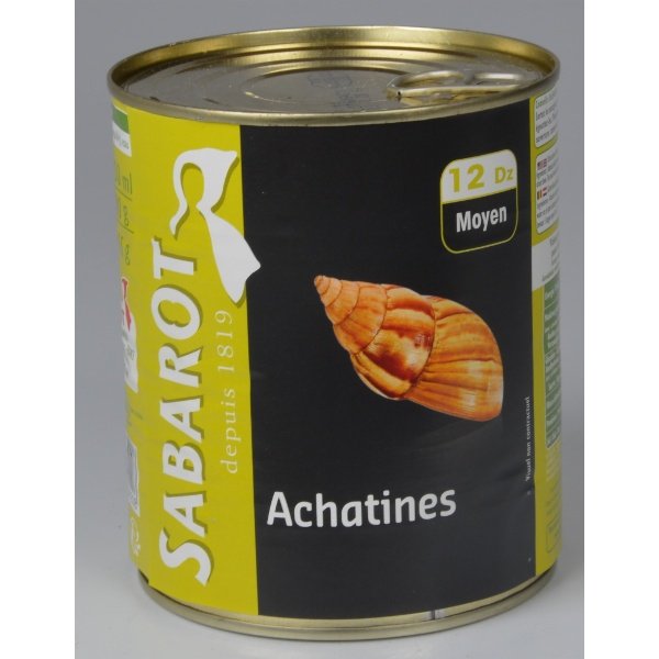 Sabarot Achatines 10DZ boite 4/4