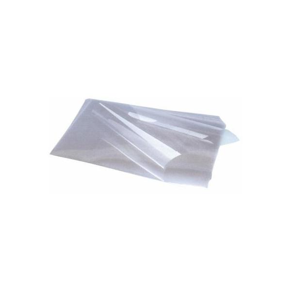 Good épices Feuilles guitare pour ganache H40cm x L40cm lot de 100
