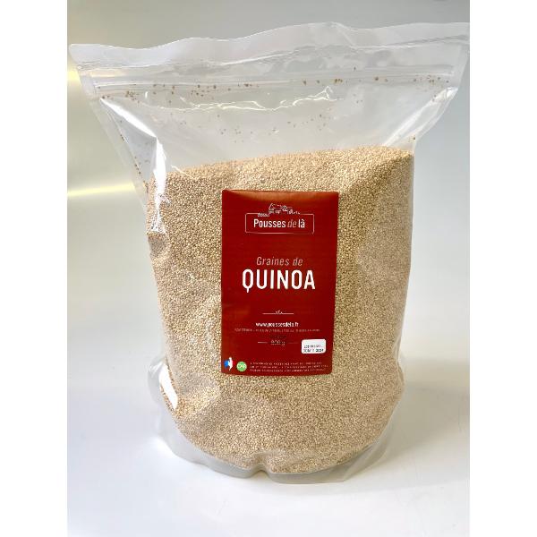 Good épices Quinoa de Normandie Sac de 4Kg 