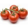 Sepal Tomate Concentre 20/30 poche de 20kg